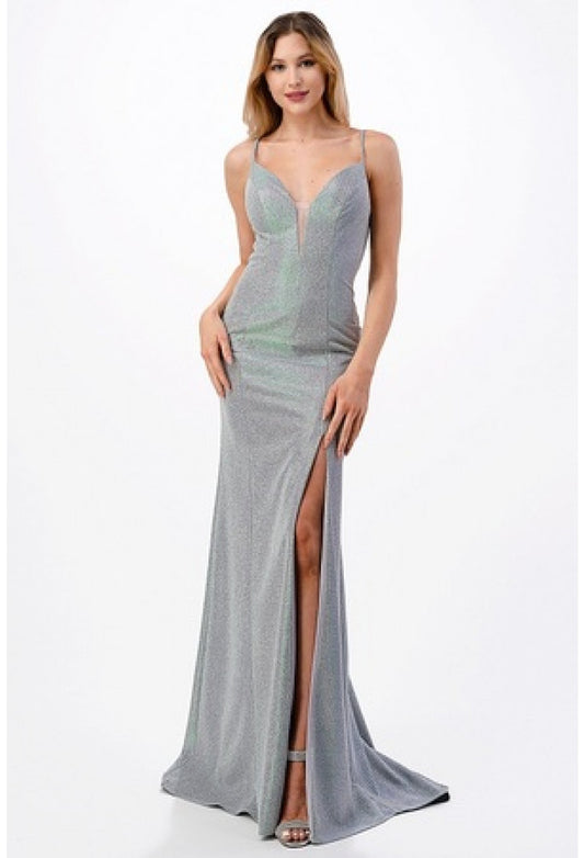 Iridescent Silver Gown